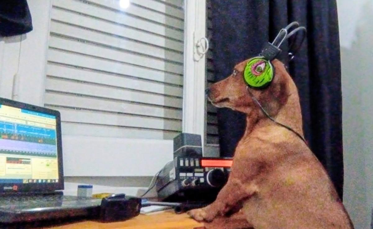 Primary Image for LU6HOG