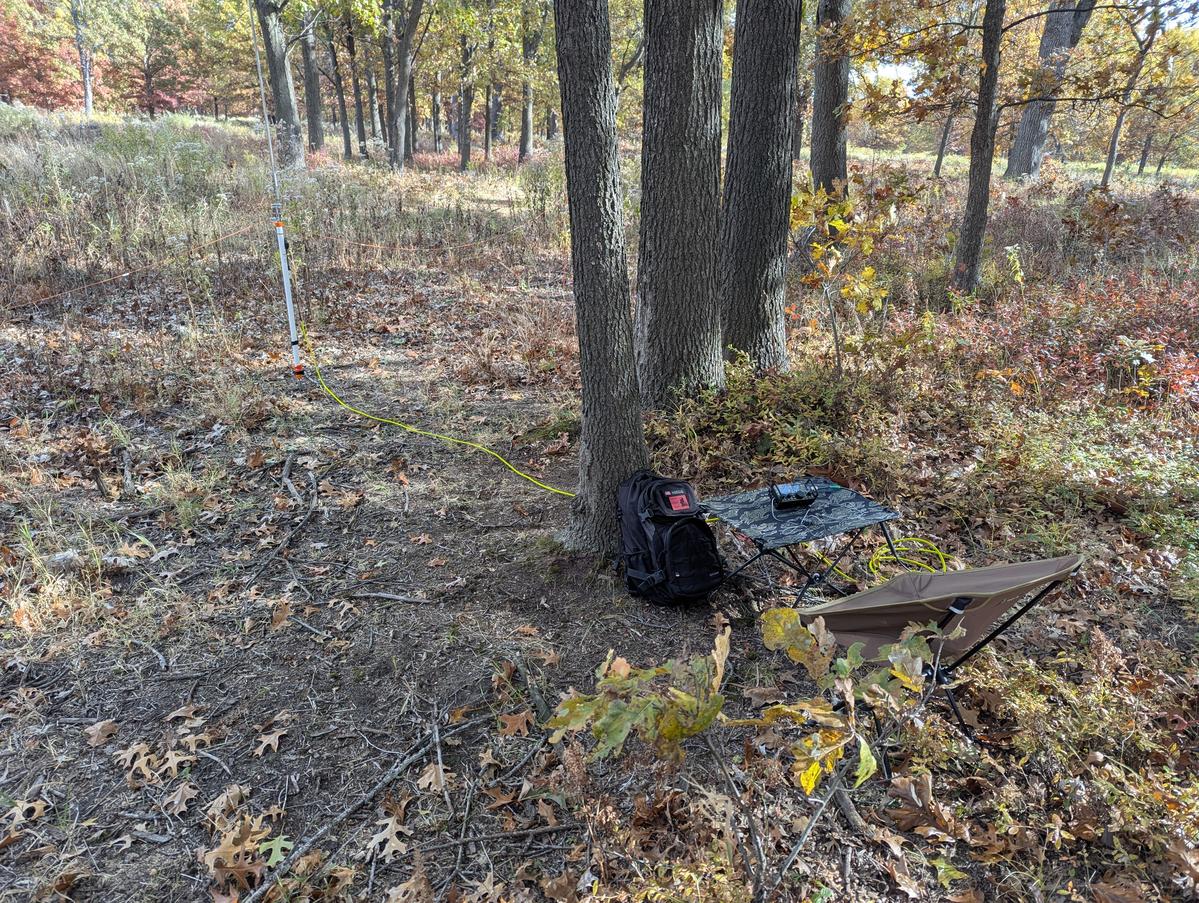 Primary Image for N5EGG