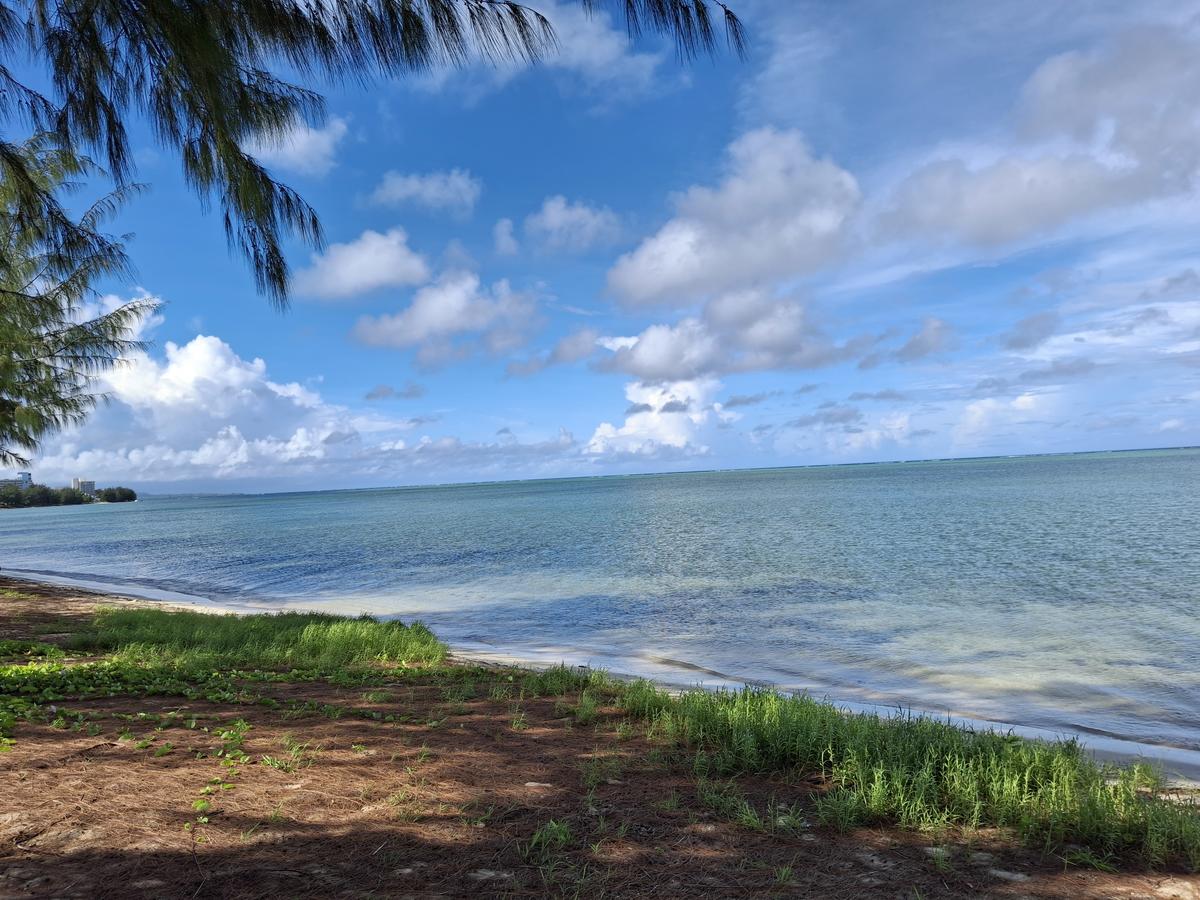 Primary Image for NB9G