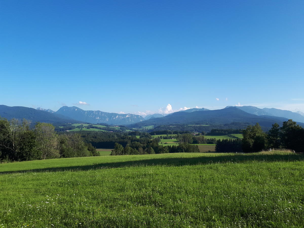 Primary Image for OM/DG1RUG