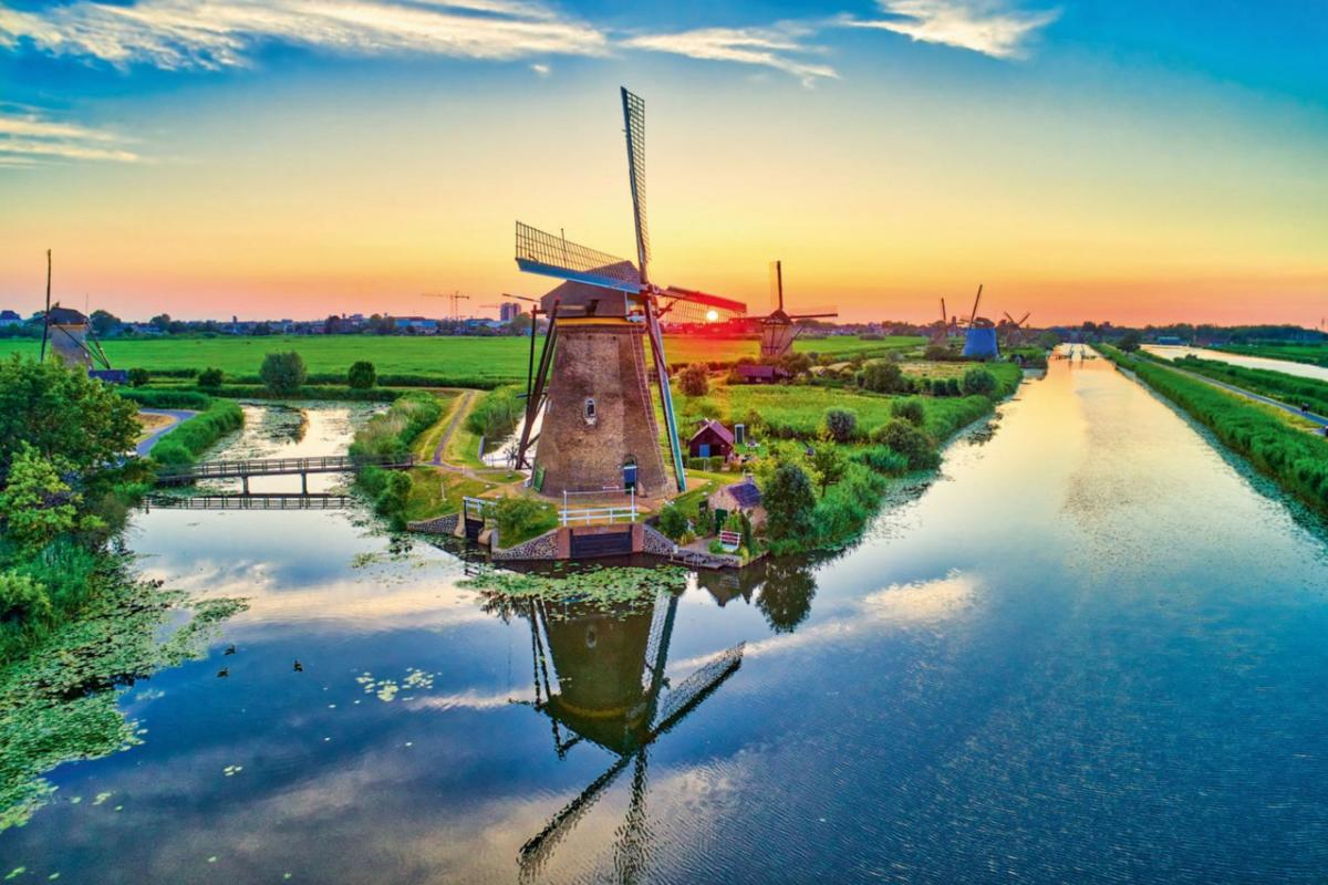 Primary Image for PD1DG