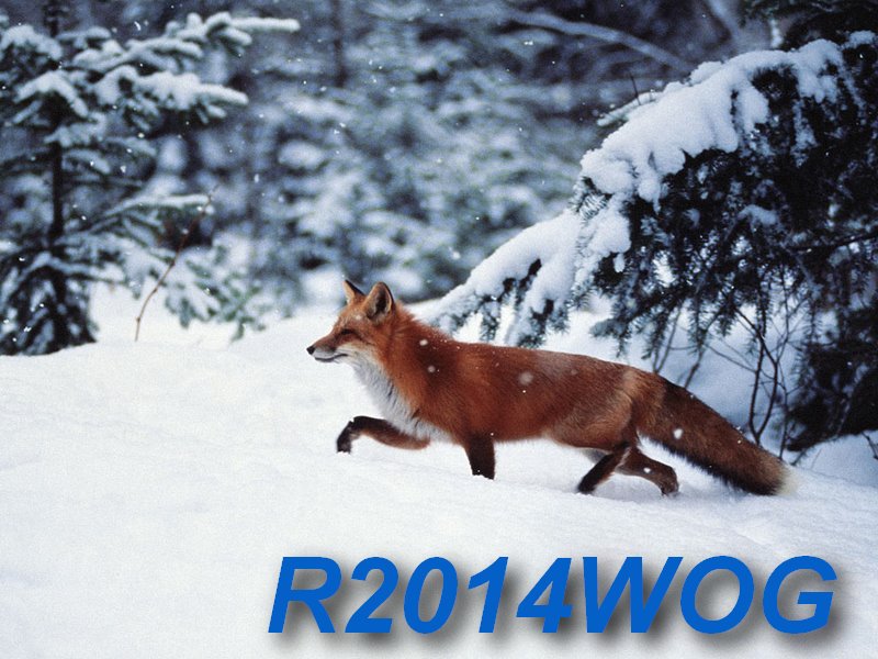 Primary Image for R2014WOG