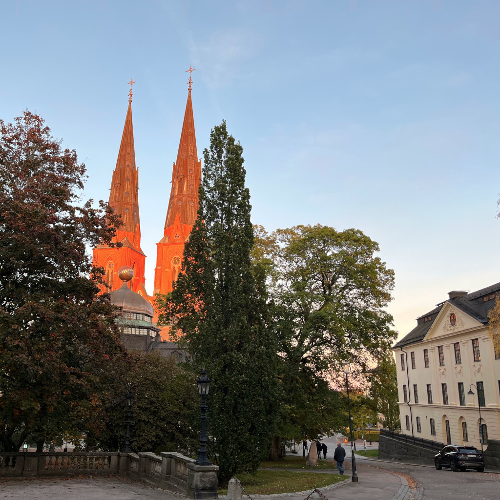 Primary Image for SA5TEG