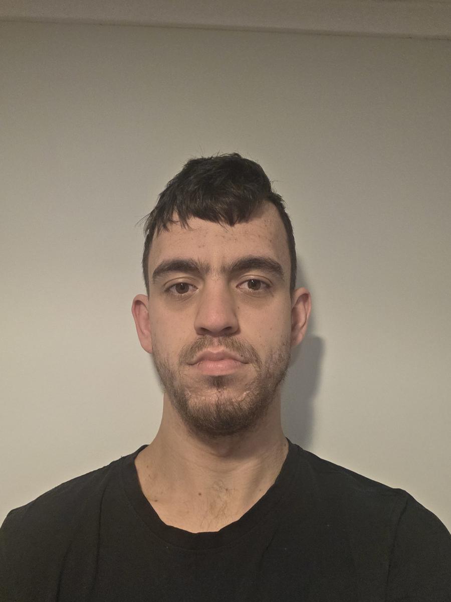 Primary Image for ZL4DOG