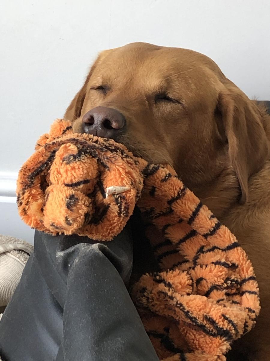 Primary Image for 2E1SPH