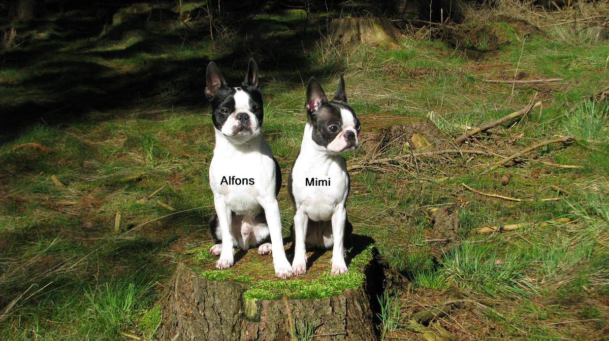 Primary Image for DC4XH