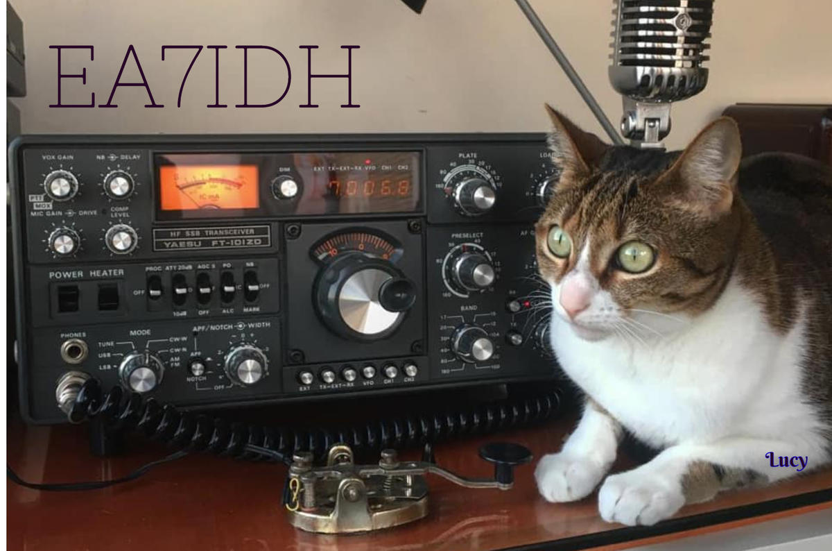 Primary Image for EA7IDH