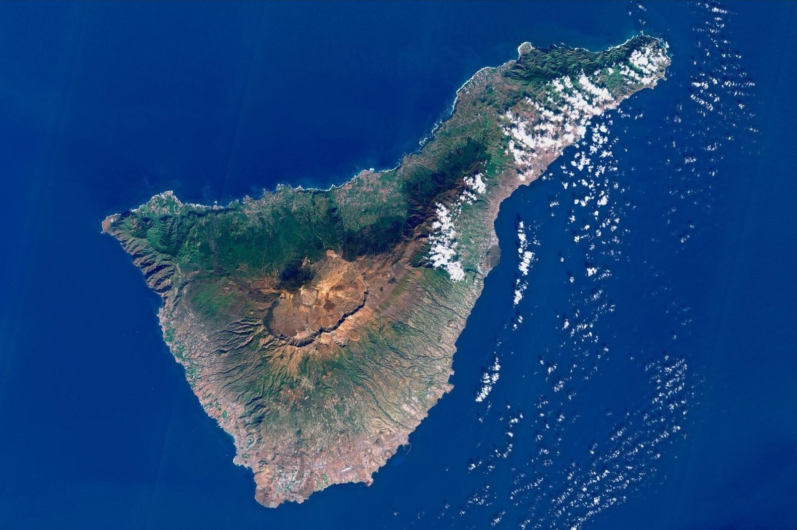 Primary Image for EA8CFH