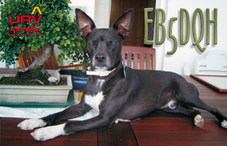 Primary Image for EB5DQH