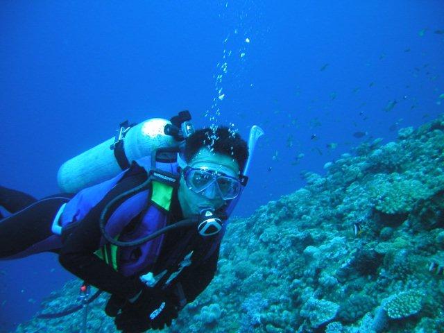 Primary Image for JA1PPH