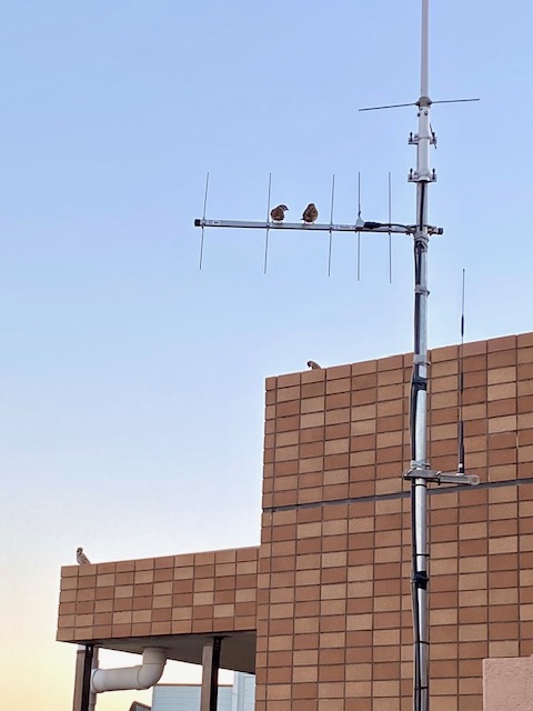 JK1CXH - Callsign Lookup by QRZ Ham Radio