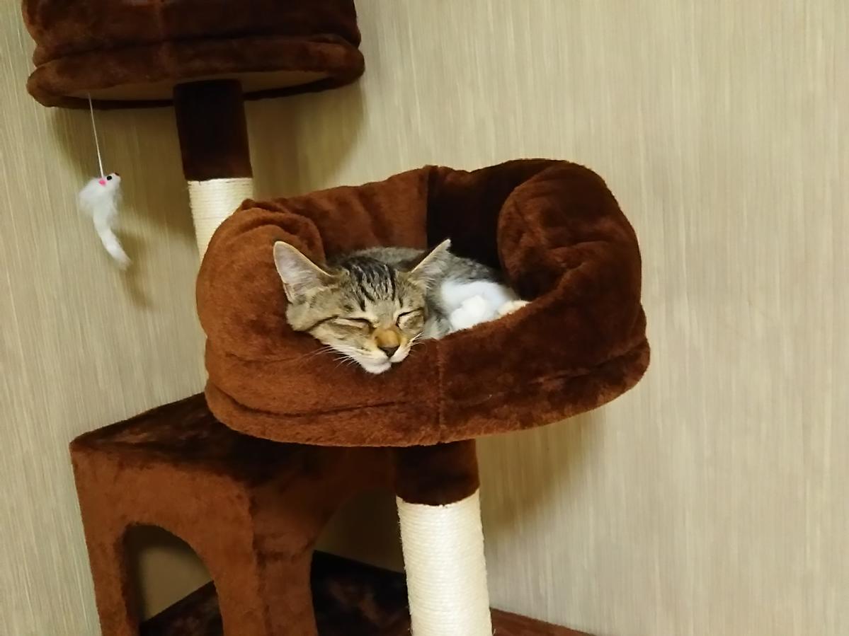 Primary Image for JL1FVH