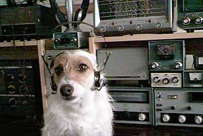 Primary Image for K4LPH