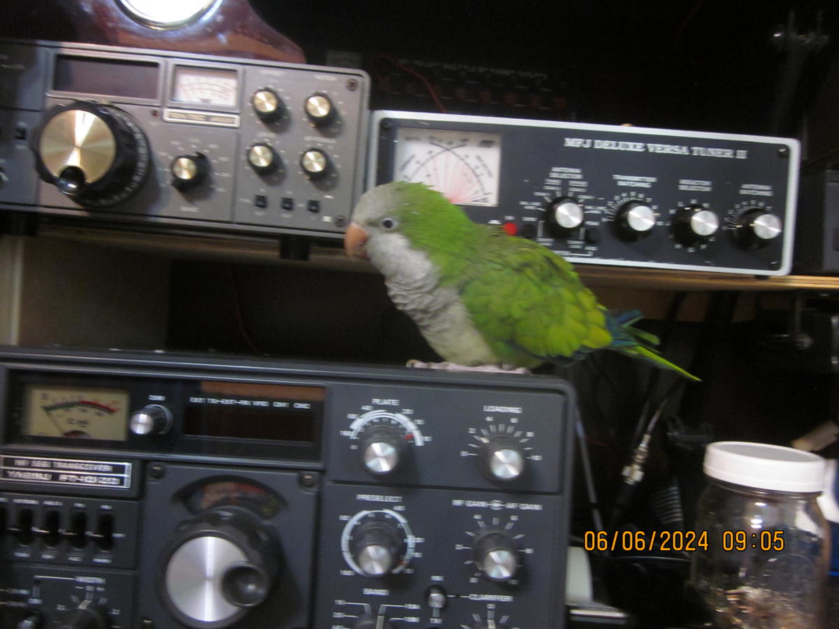 Primary Image for KQ4LTH