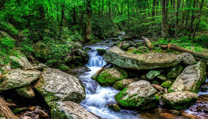 Primary Image for KR4FPH