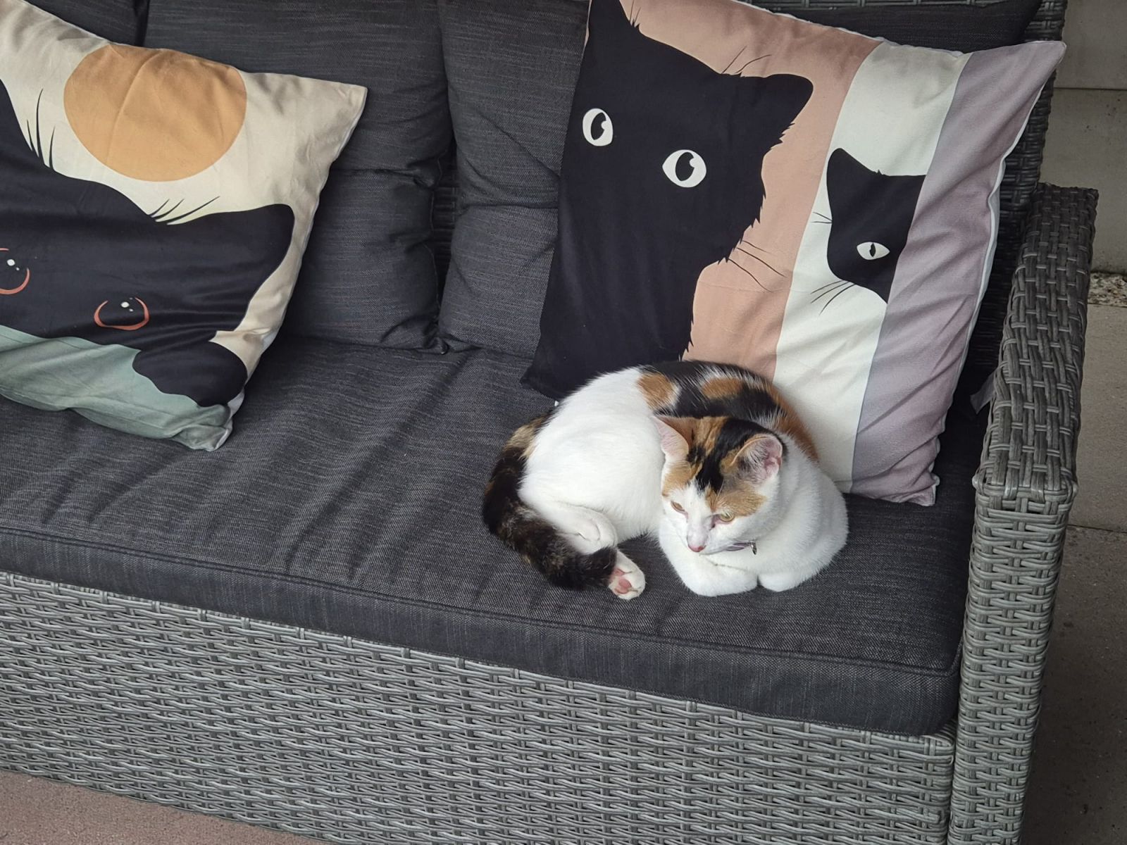 Primary Image for M7HYH