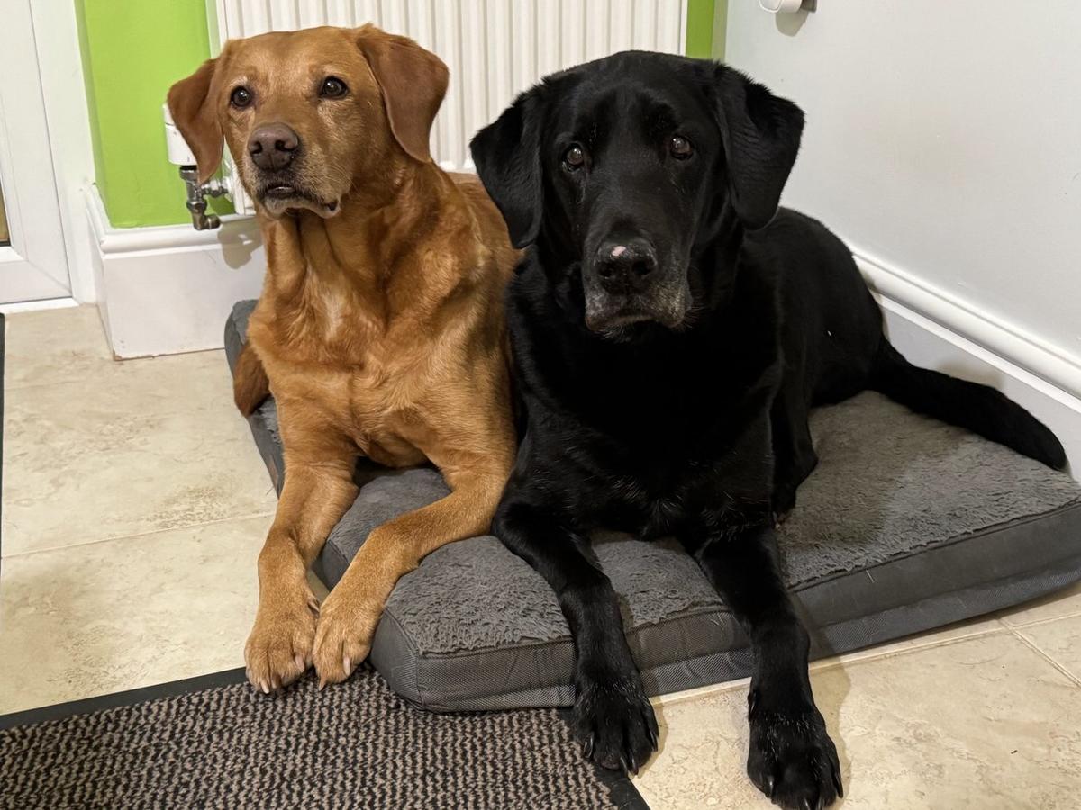 Primary Image for M9SPH