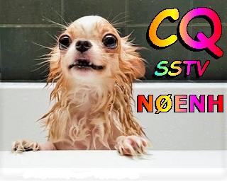 Primary Image for N0ENH