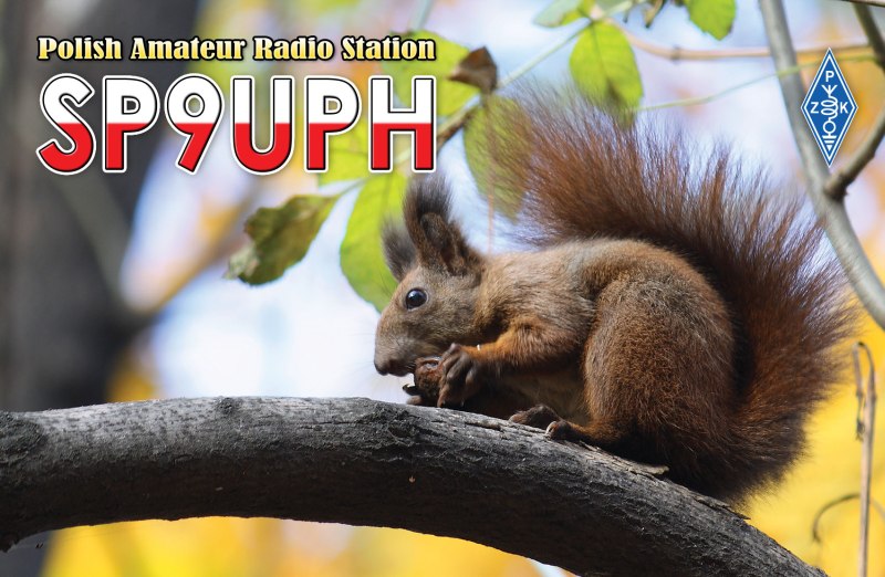 Primary Image for SP9UPH