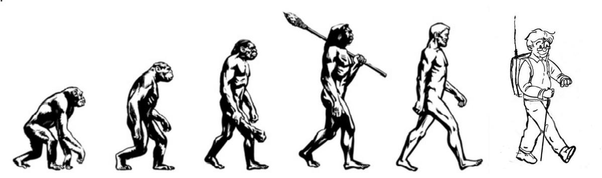 Primary Image for VE1PVH