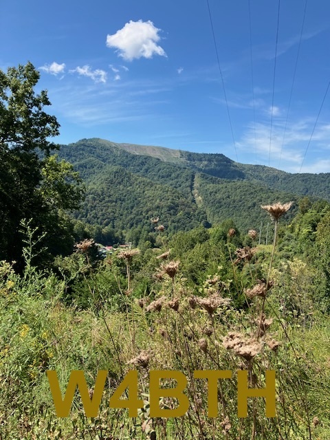 Primary Image for W4BTH