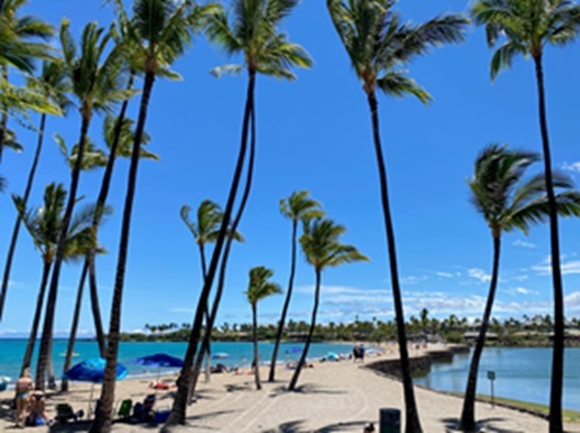 Primary Image for AH6II