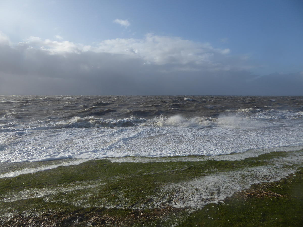 Primary Image for DL2FBI