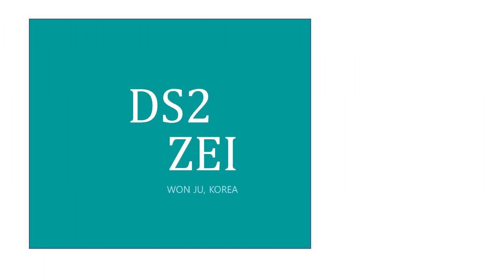 Primary Image for DS2ZEI