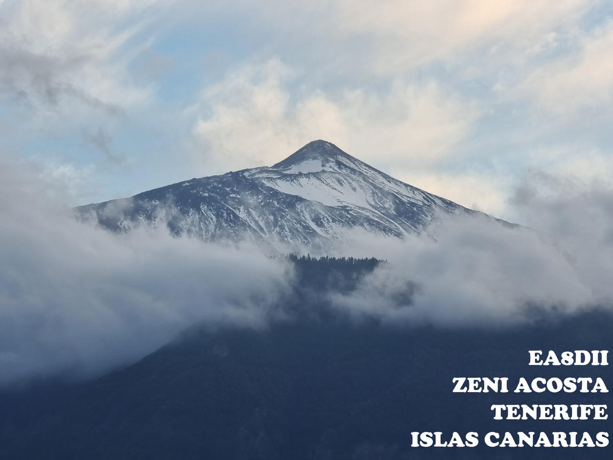 Primary Image for EA8DII