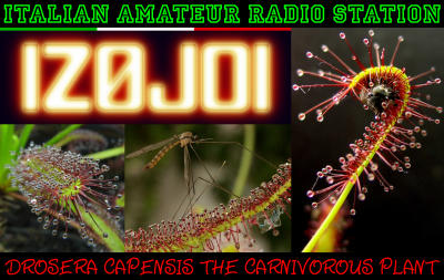 Primary Image for IZ0JOI