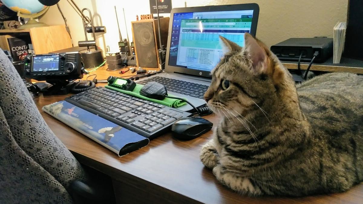 Primary Image for N6HI