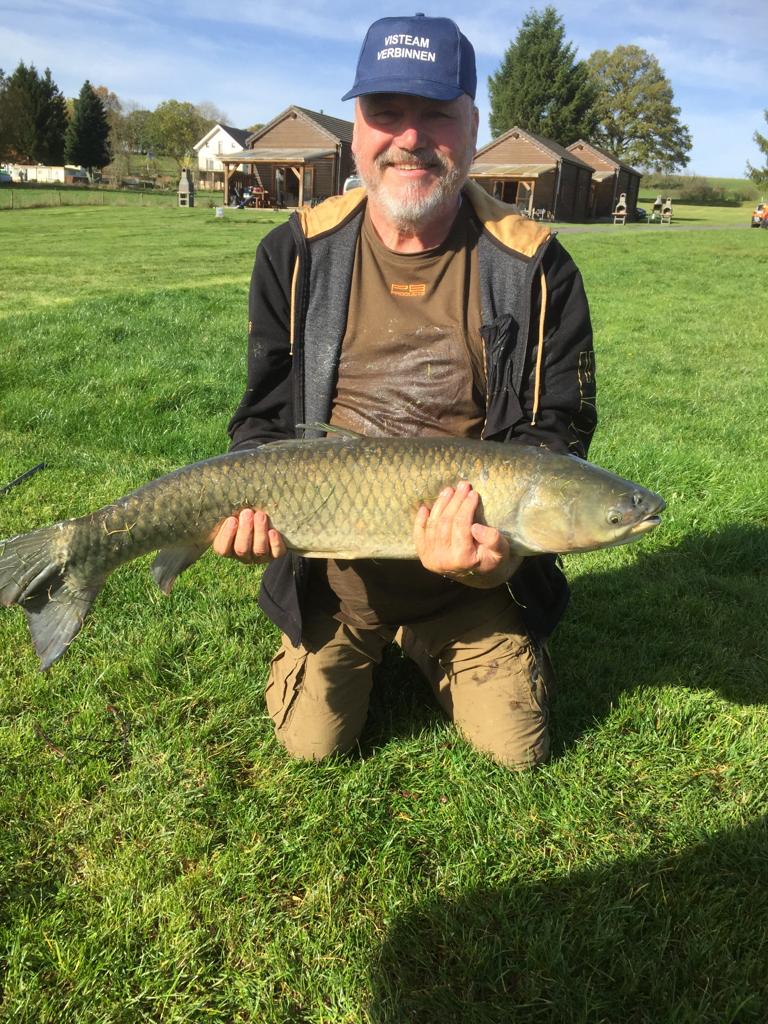 Primary Image for ON4GI