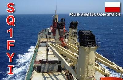 Primary Image for SQ1FYI