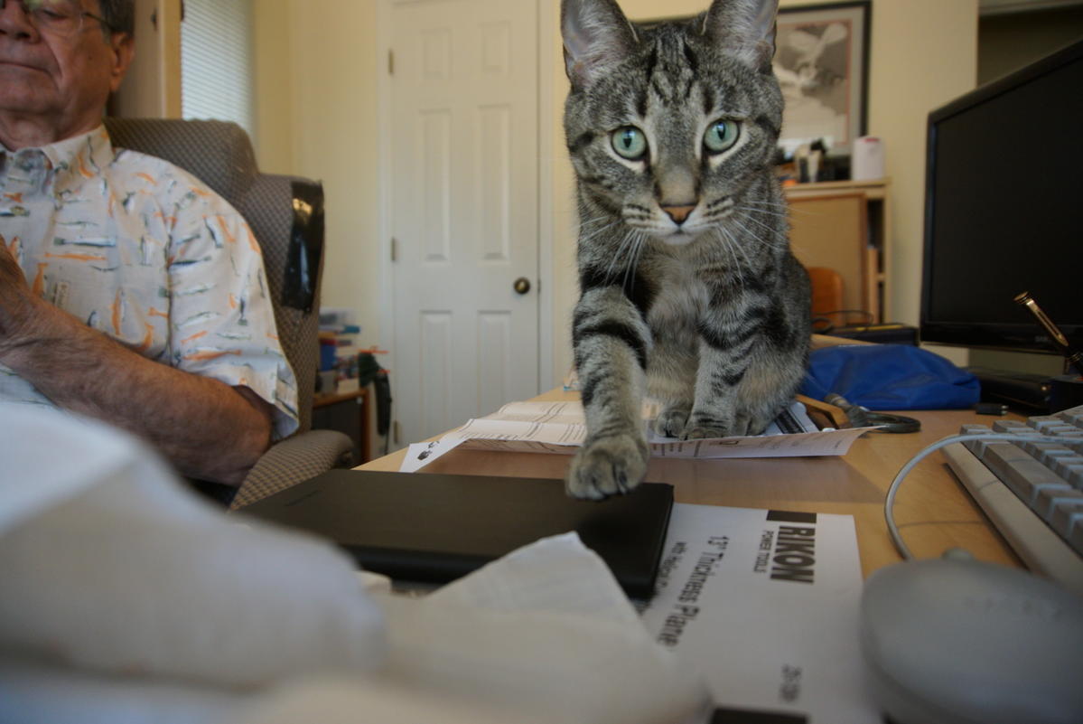 Primary Image for WA4PHI