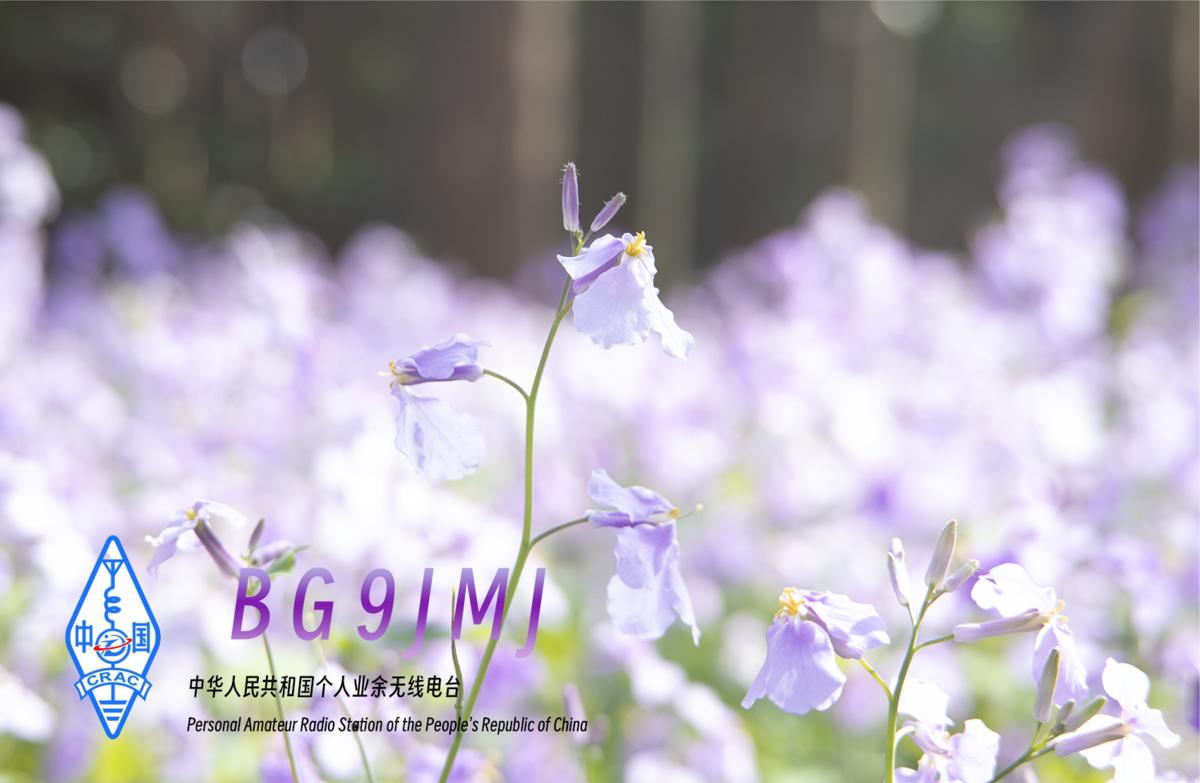 Primary Image for BG9JMJ