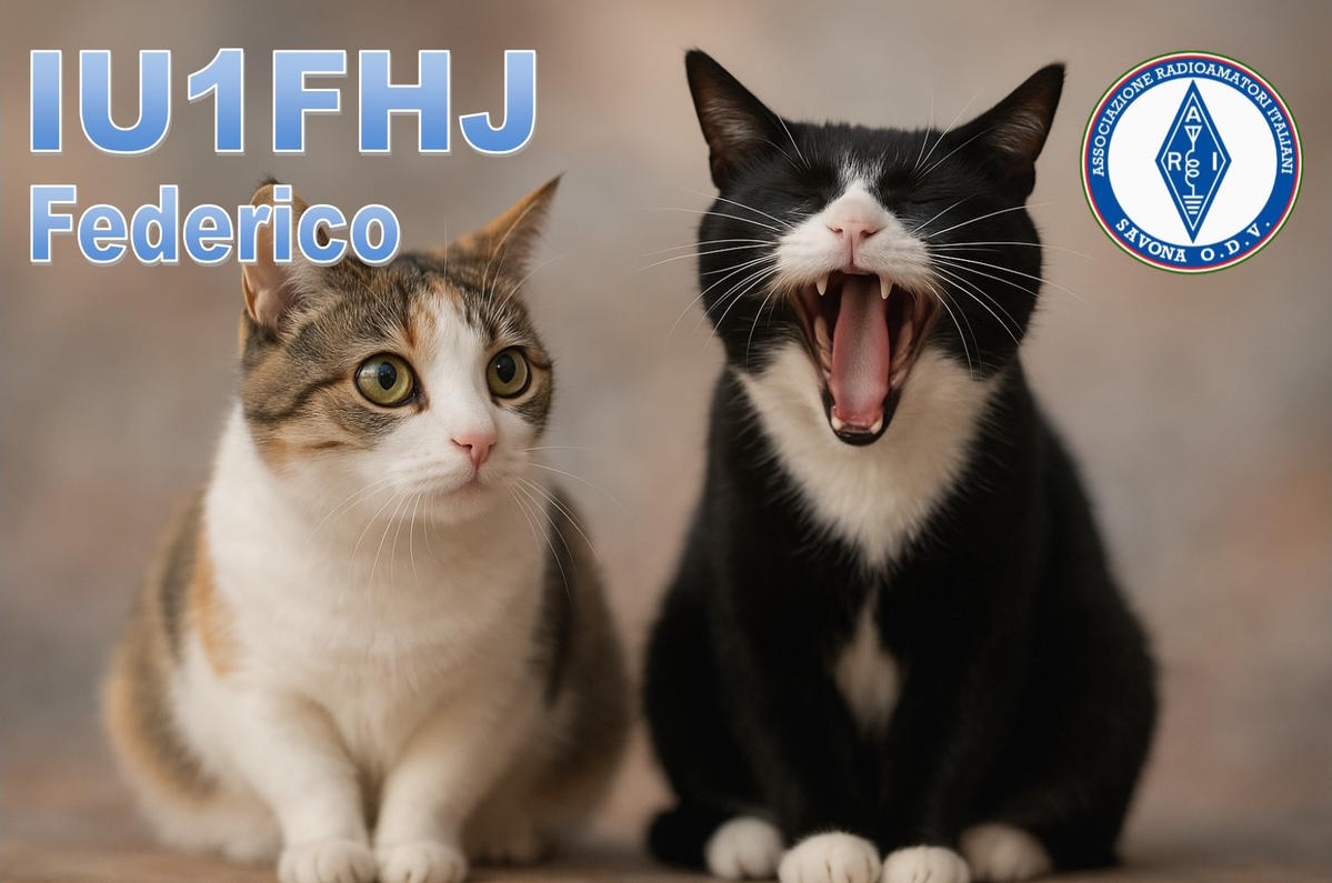 Primary Image for IU1FHJ