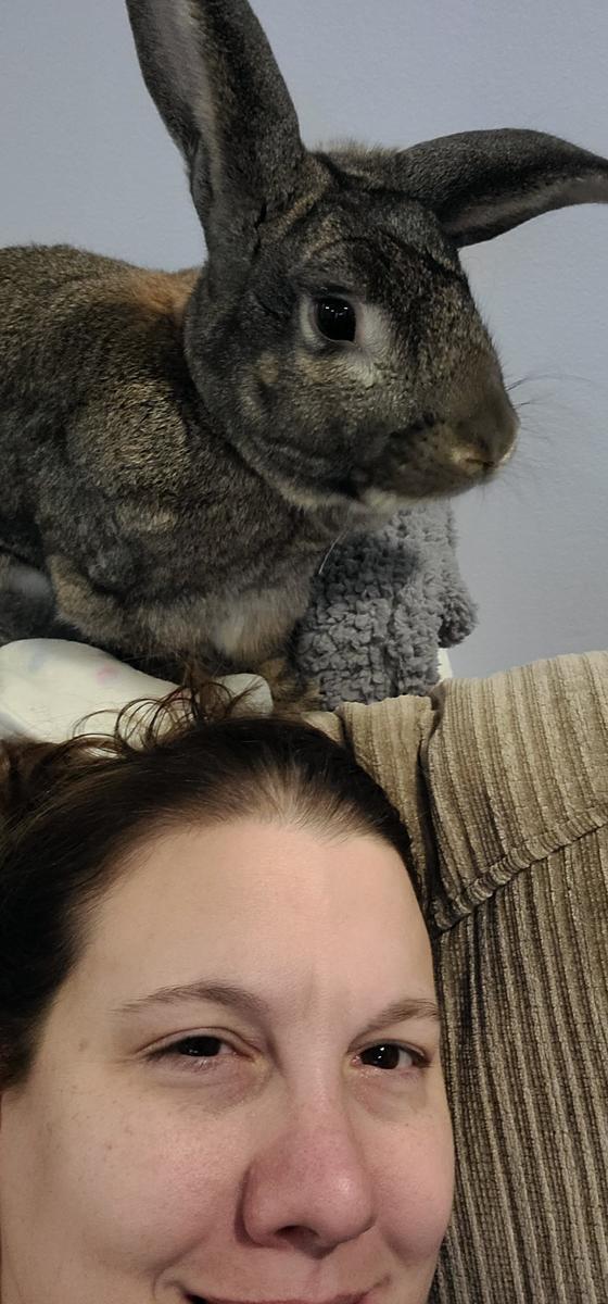 Primary Image for K3PEJ