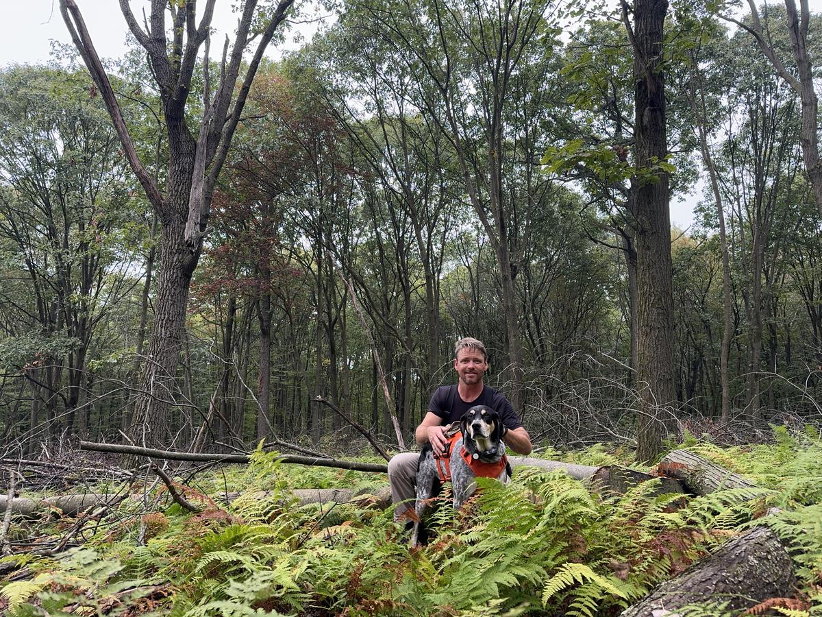 Primary Image for KD3BOJ