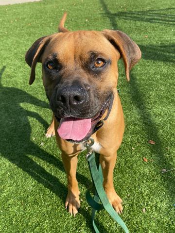 Primary Image for KO4MRJ