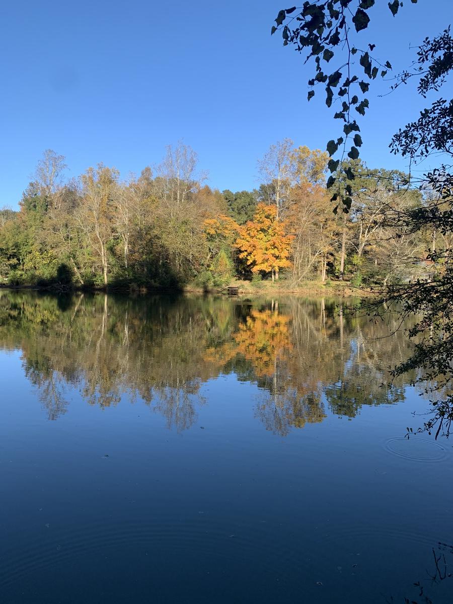 Primary Image for KZ4QJ