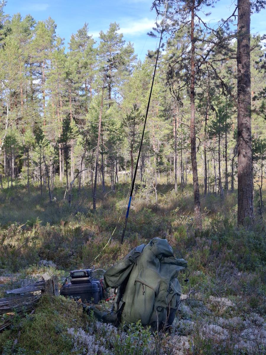 Primary Image for LB0VJ