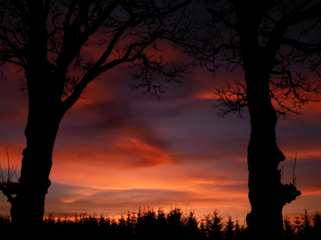 Primary Image for MM0SKJ