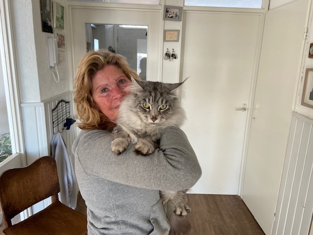 Primary Image for PD2AJ