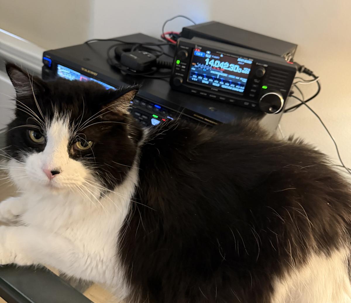 Primary Image for AK6NK