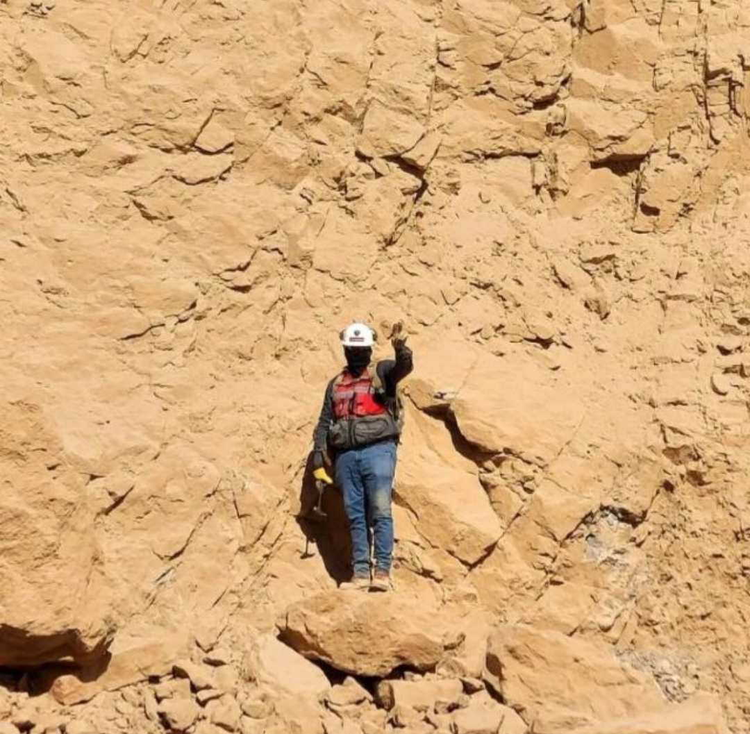 Primary Image for CA1NPK