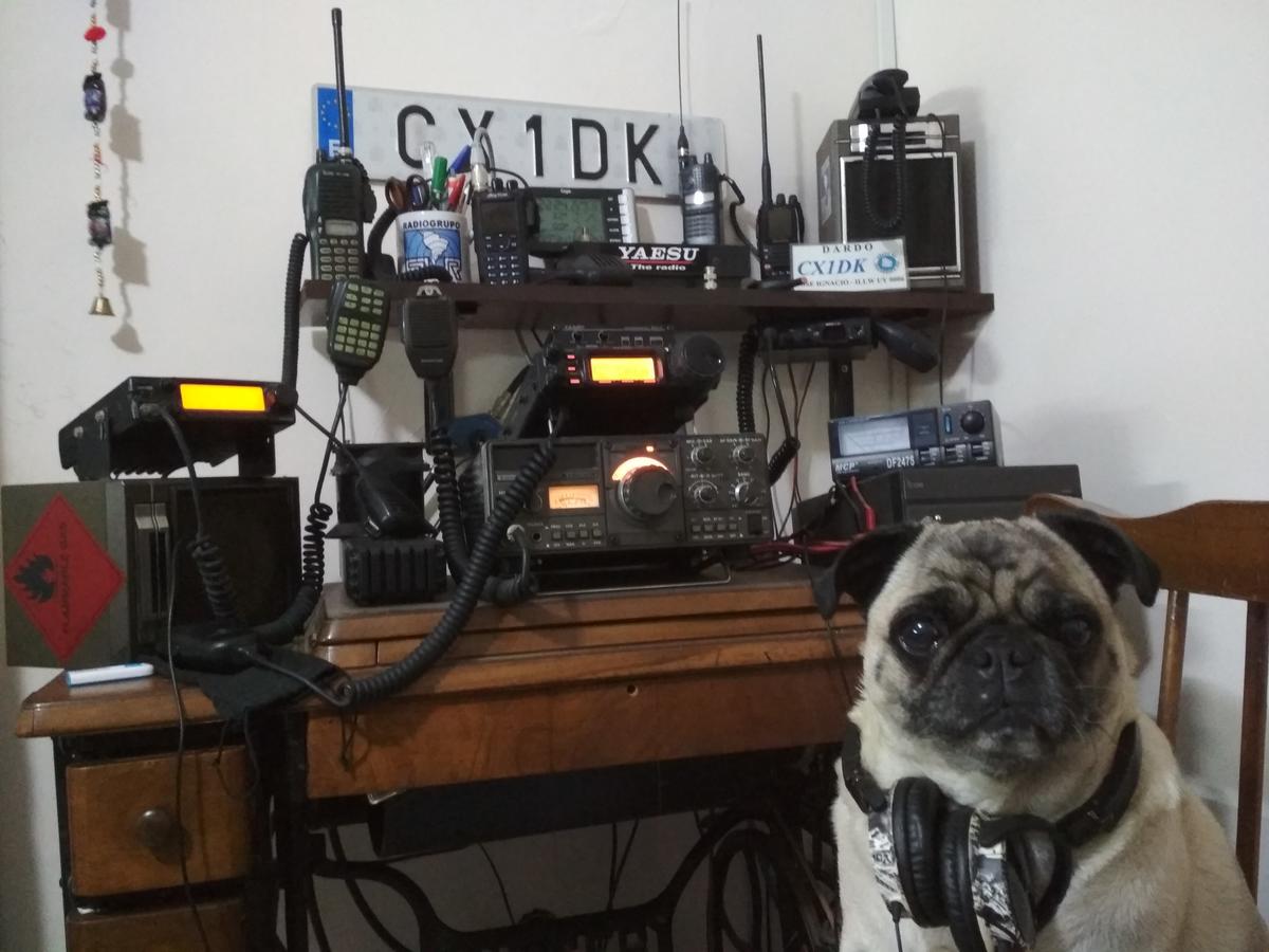 Primary Image for CX1DK
