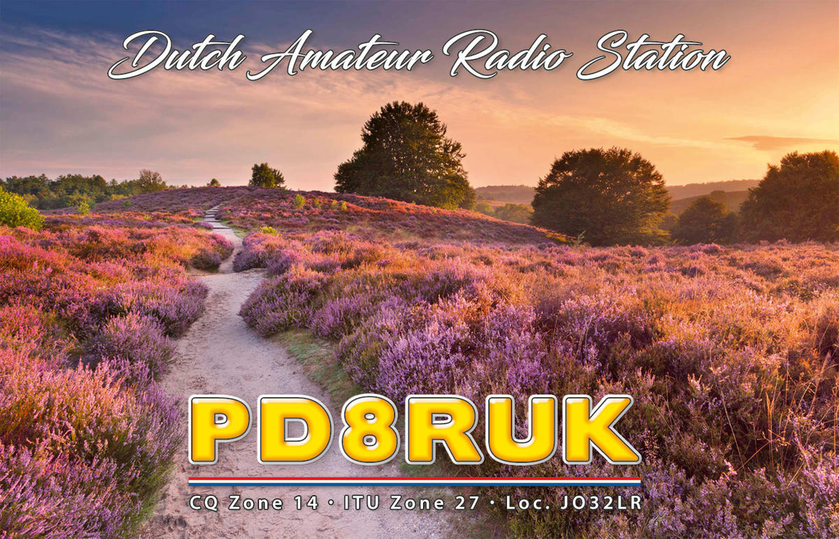 Primary Image for PD8RUK