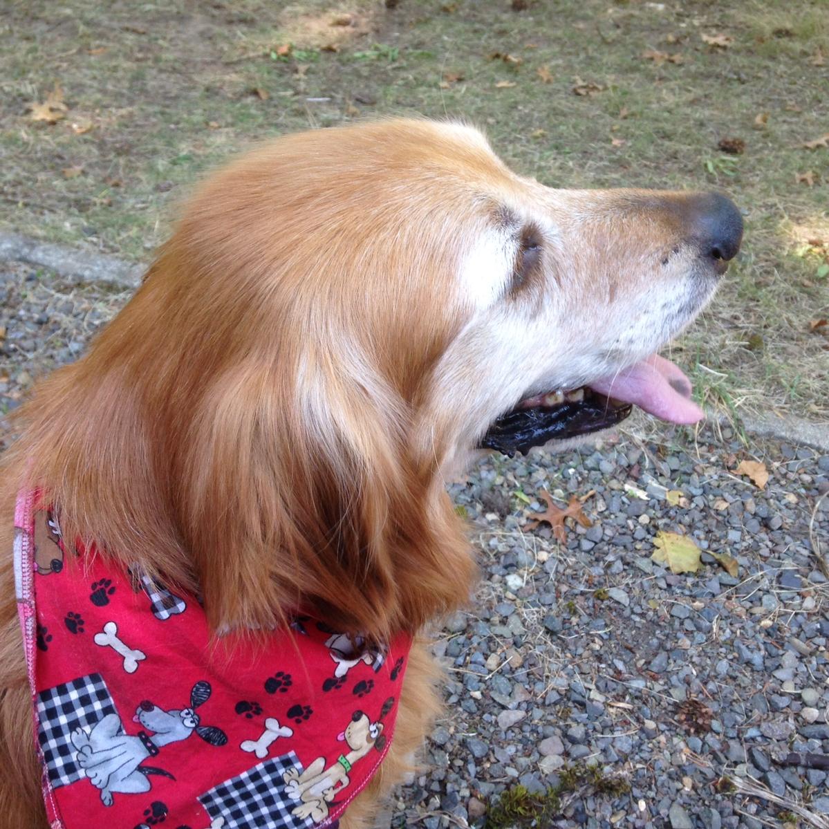 Primary Image for WA9CEK