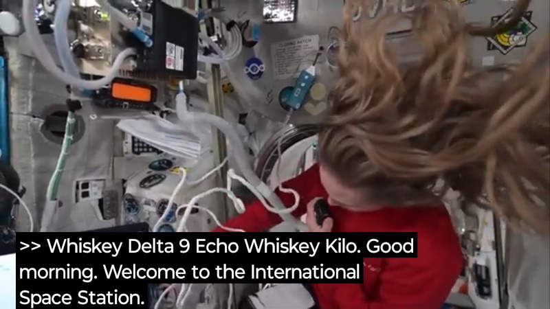 Primary Image for WD9EWK