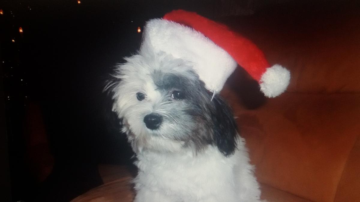 Primary Image for DO5GAL